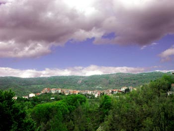 DSCN1411
