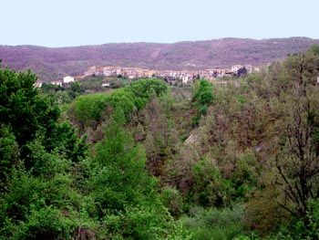 DSCN1412