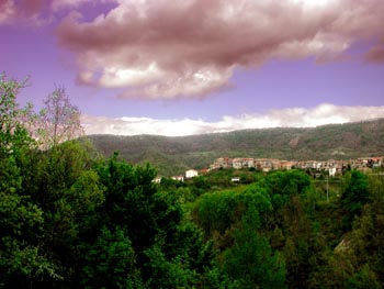 DSCN1414