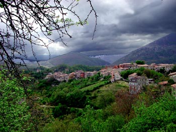 DSCN1418