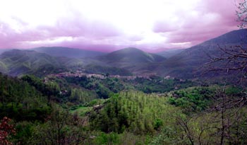 DSCN1422
