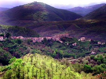 DSCN1427
