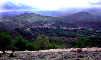 DSCN1431