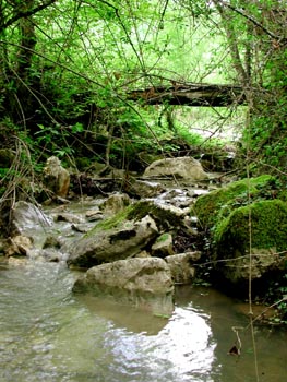 rio4