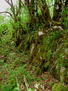 riomurett